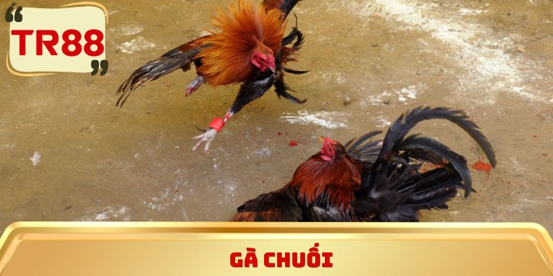 Gà chuối