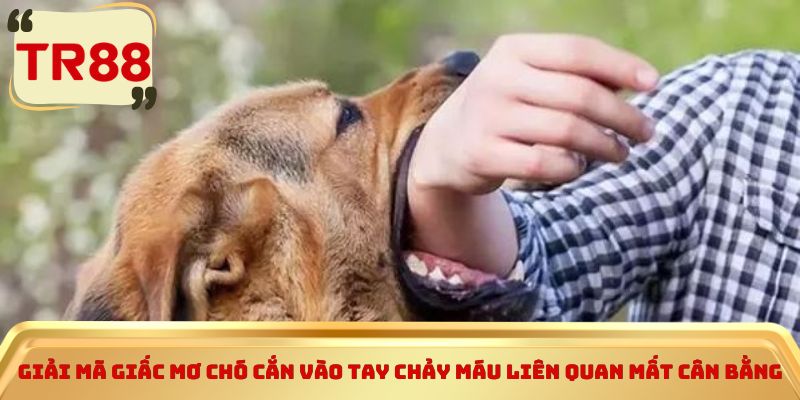 Giải mã giấc mơ chó cắn vào tay chảy máu liên quan mất cân bằng