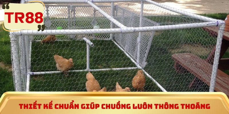 Thiết kế chuẩn giúp chuồng luôn thông thoáng